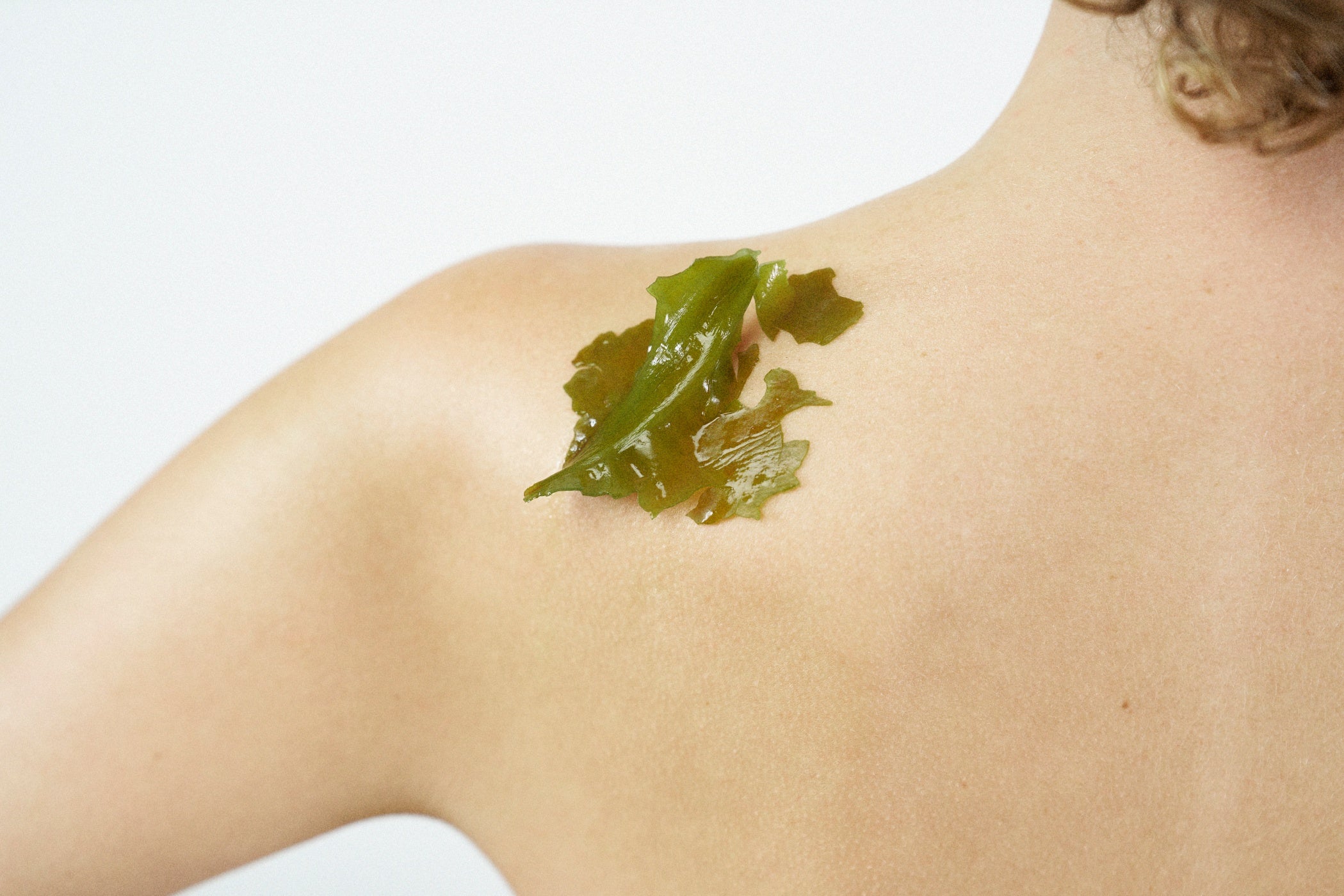Alge Astaxanthin Serum Aging straffend hautpflegeöl